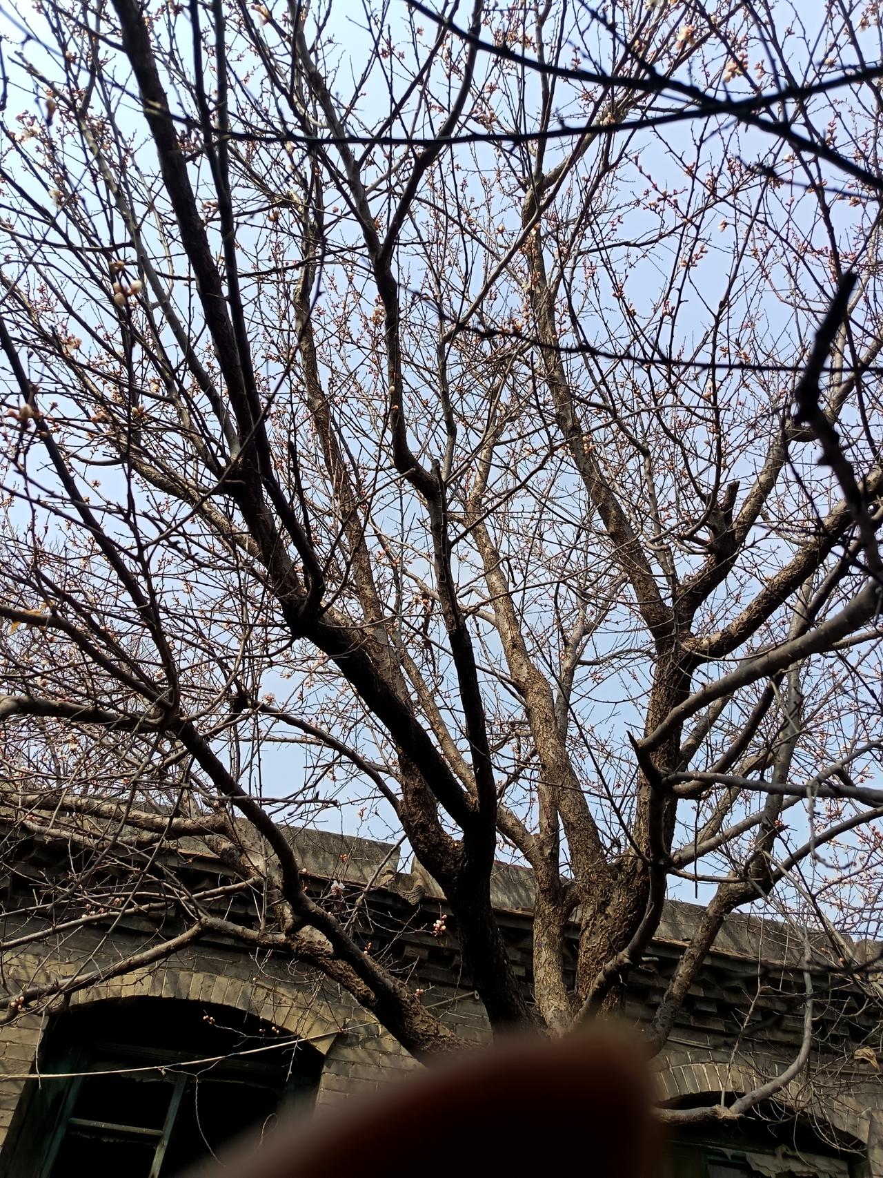 经济日报：外卖大战该结束了 经济日报说外卖大战该结束了，这话不无道理。现在的外卖