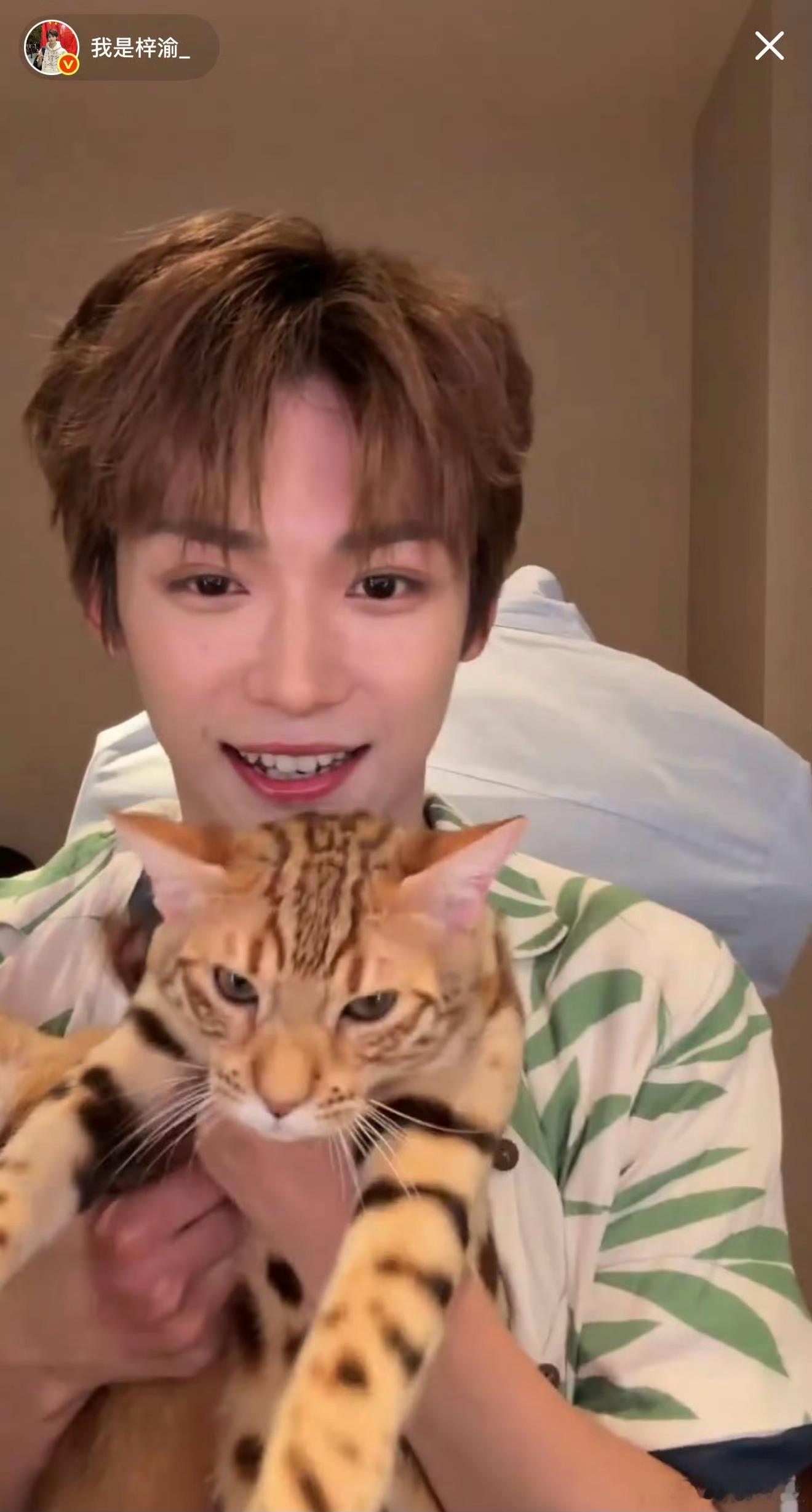 梓渝直播好久不见的梓渝，直播状态看起来超好，撸猫好可爱祝大家新年好春节刷到宝了马