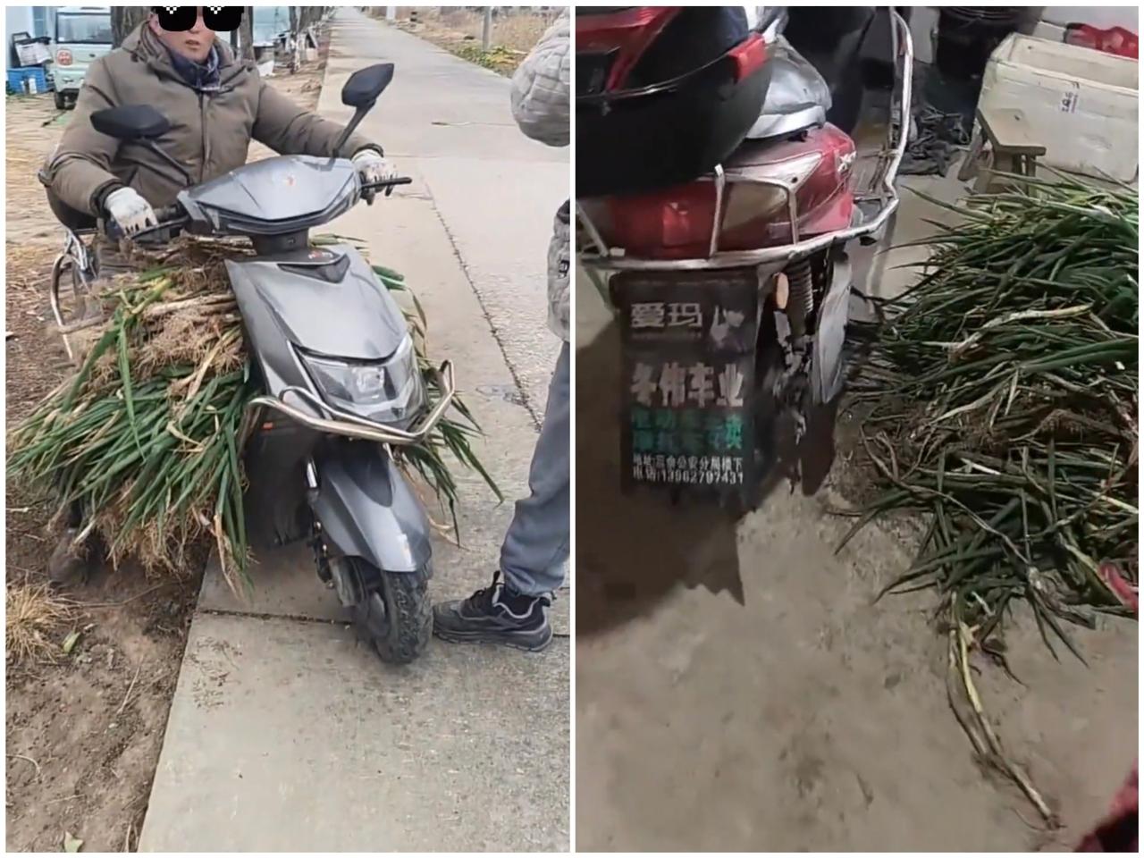 江苏的一位女子在自家菜地里抓住了一个偷葱的男子，几十斤葱不值几个钱，但是有人就是