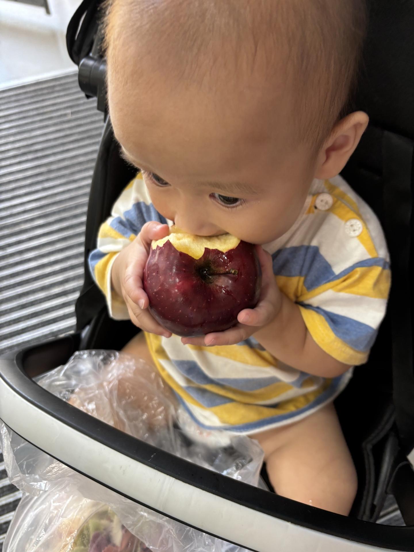 小吃货的日常 馋嘴宝宝 记录宝宝的日常 记录你的点点滴滴等你长大给你看