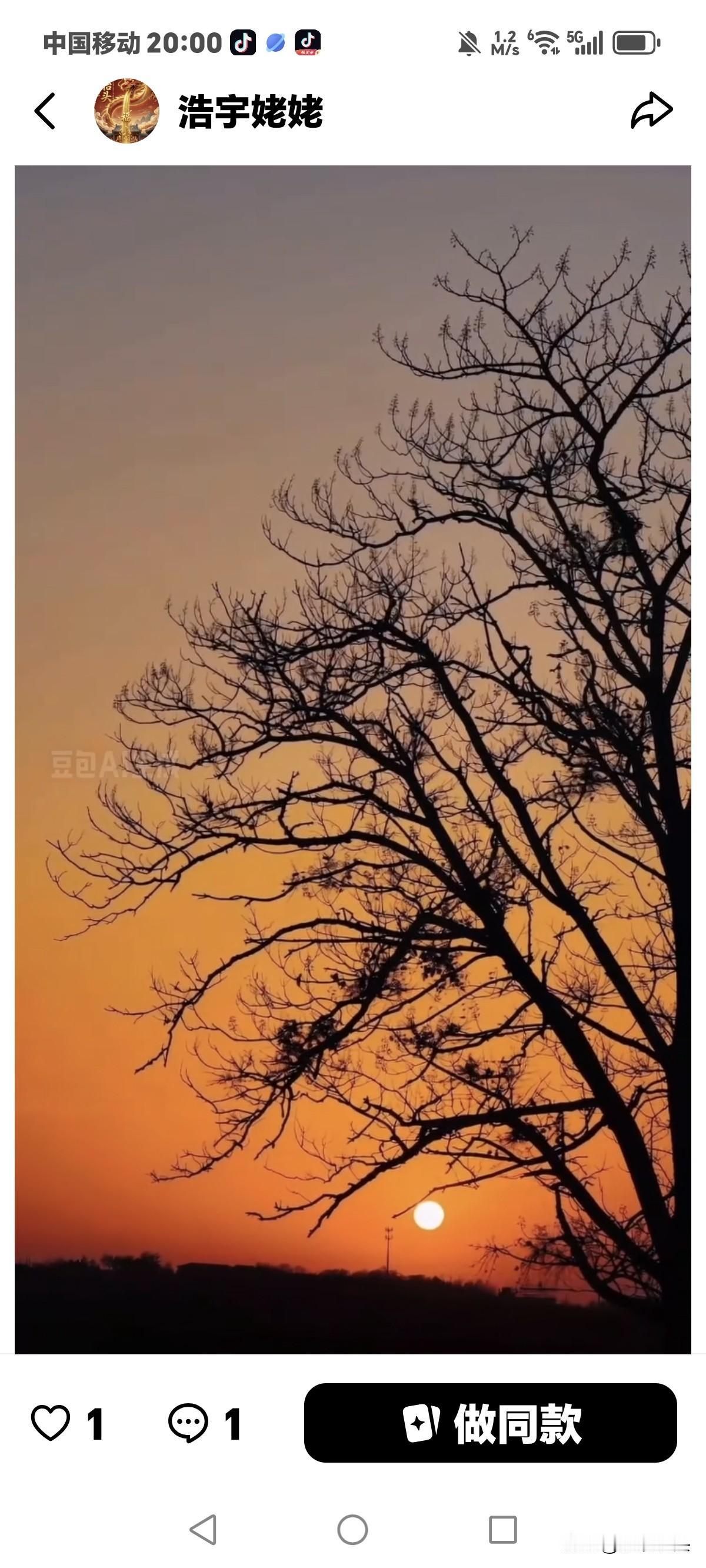 看到一个好友的问话，
说我为什么不换掉这几个铁皮牙？
说说我这几个铁皮牙吧，
那