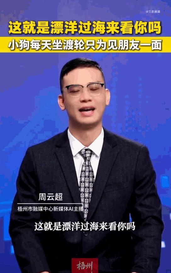 天下之大无奇不有！湖北荆州，一只小黑狗，为了能天天和长江对岸的“好哥们”相聚，竟