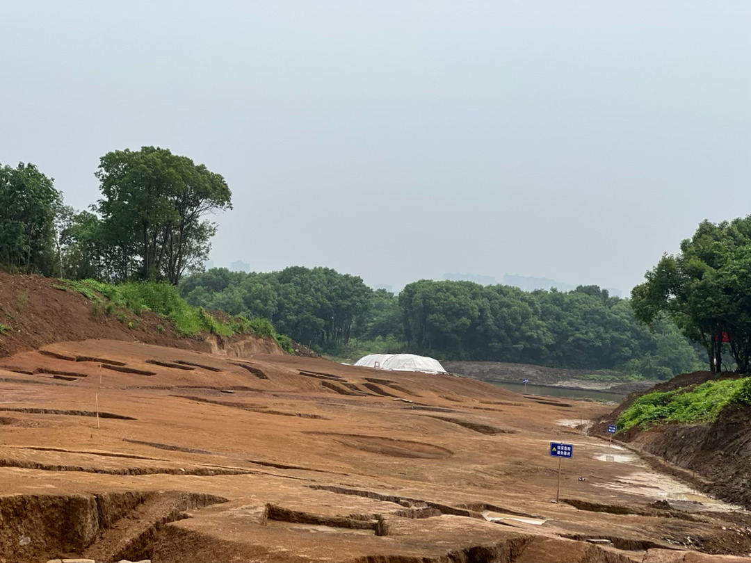 实地走访考古作业现场，暑浪扑面而来，空气湿度极大，伸手似能攥出水汽。 宜兴·下庄