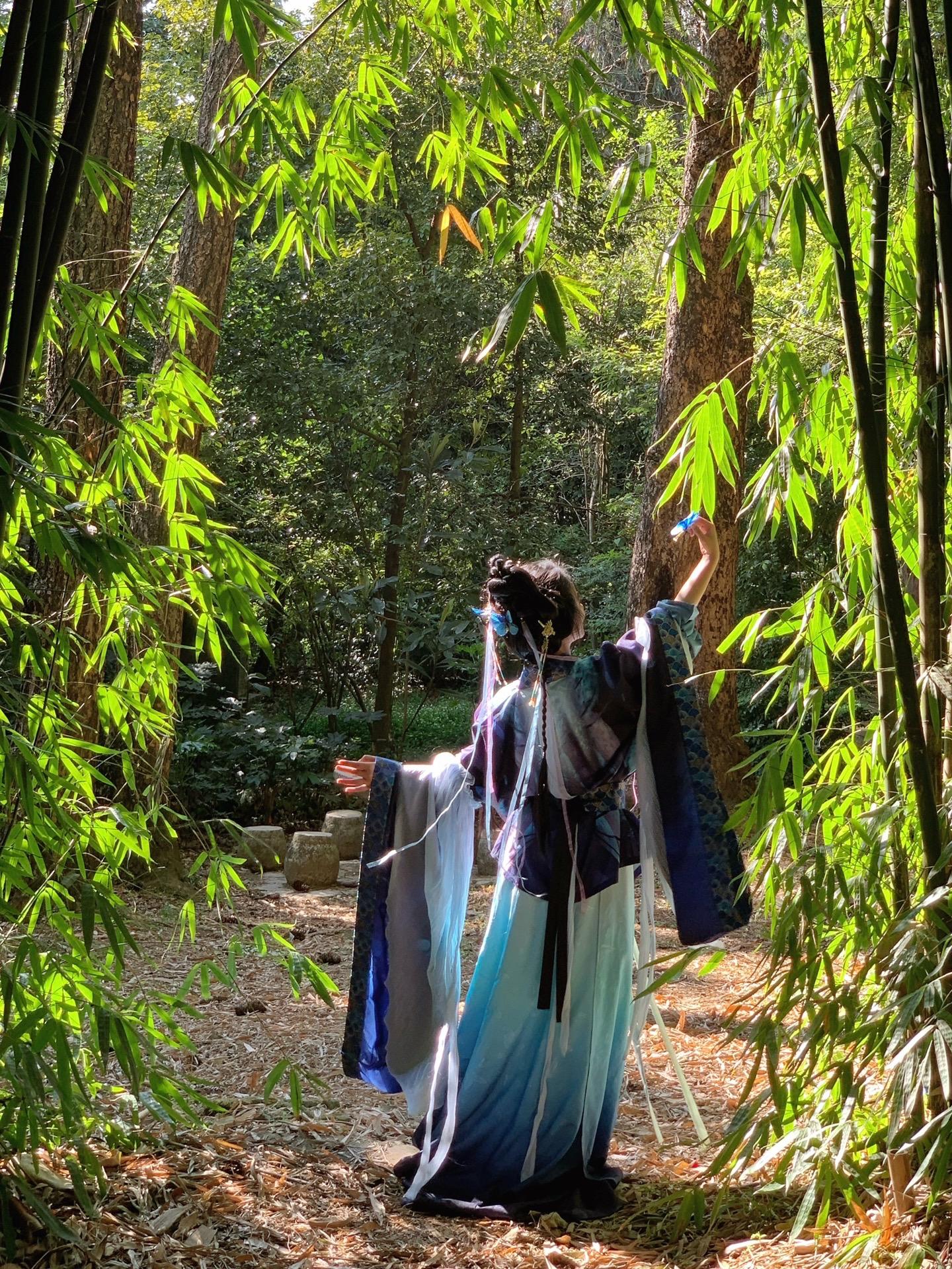 不过是一只蝴蝶，哪懂什么是情爱