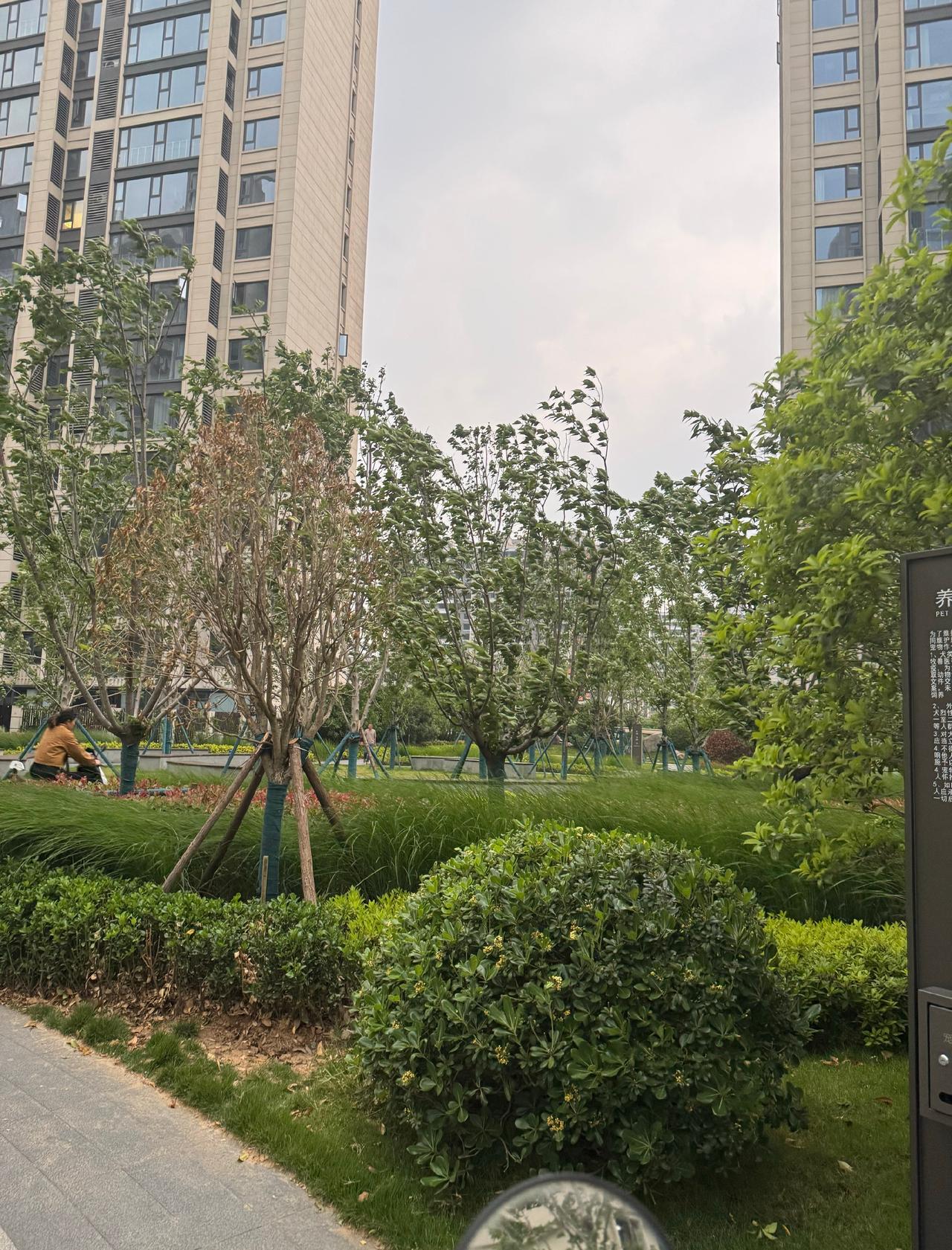 今年五一假期间的天气依然很暖心
节后第一天（今天是立夏的第二天）下班后迎来了强风