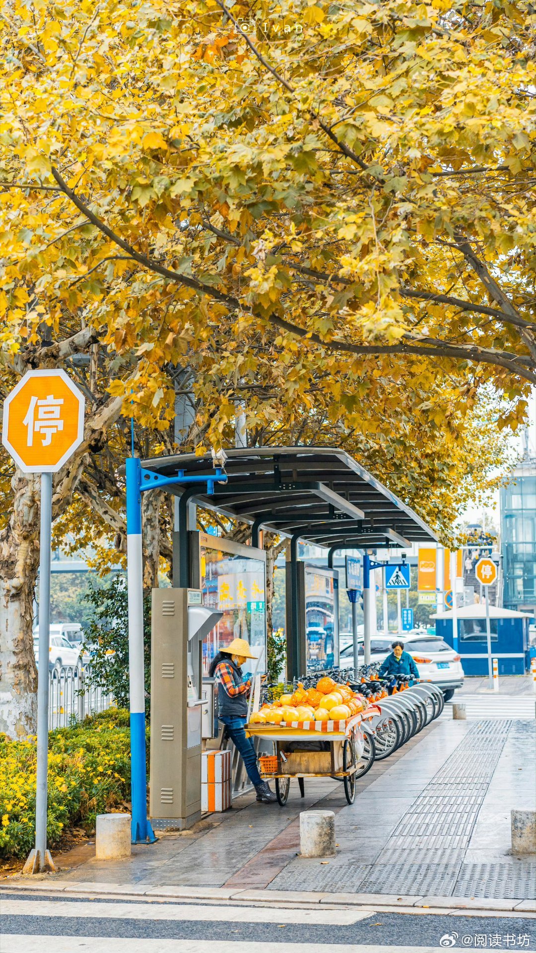 我的私人宝藏书单书评读书笔记 收拾人生的行李，丢掉不必要的，留下让自己心动的。人