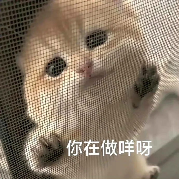 有些颠的表情包 ​​​