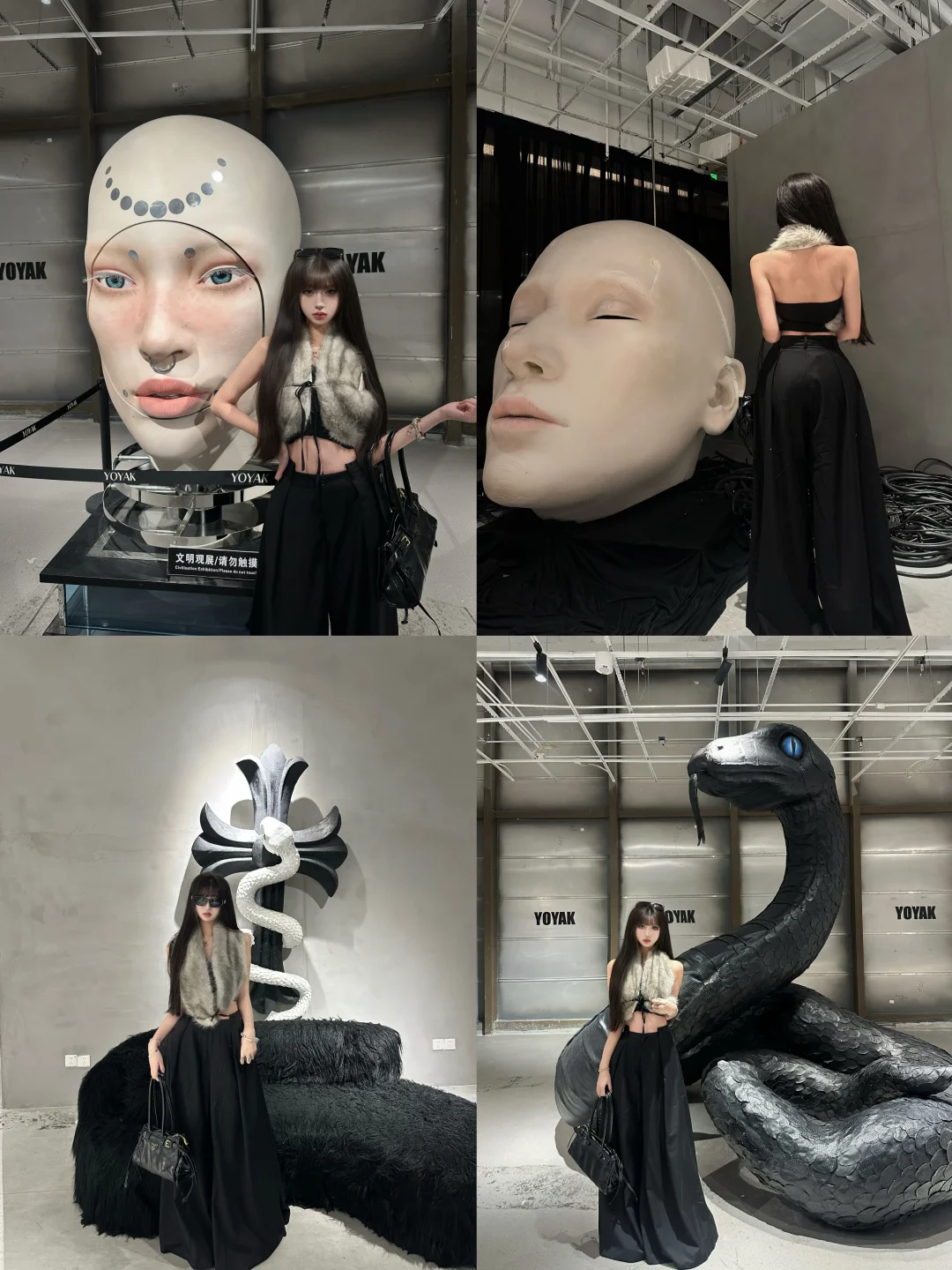 武汉YOYAK黑王蛇🐍巨人展