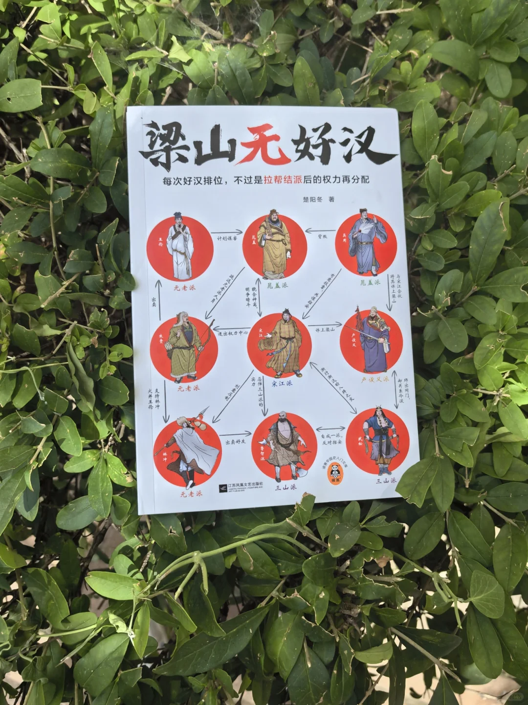 《梁山无好汉》:我们都被水浒传pian了嘛？