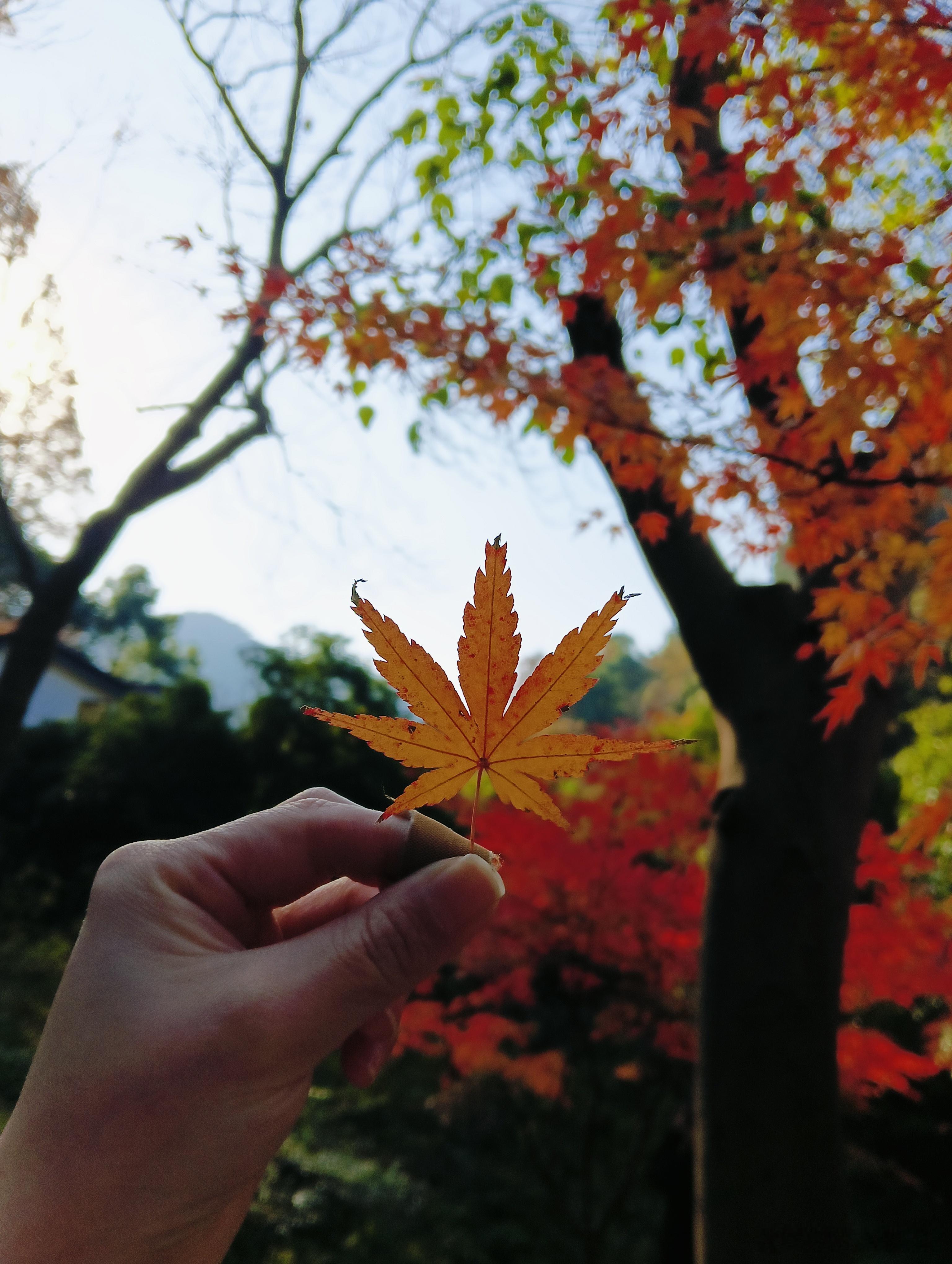 买了明天早上的票，给自己心里准备，奔赴一场告别晚上收拾行李的时候，闺蜜问我有没有