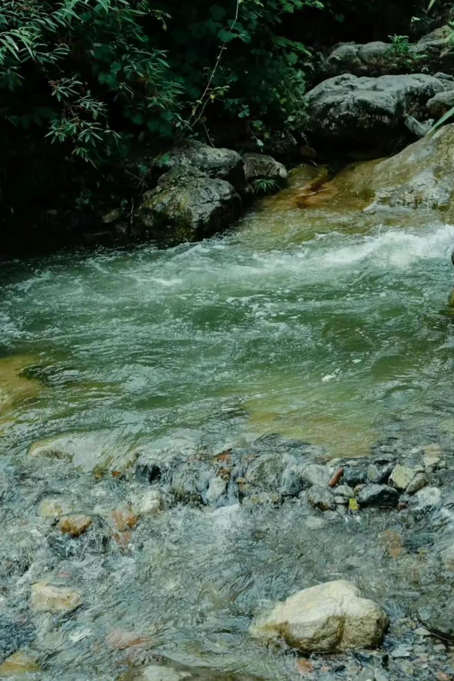 寄隐孤山山下，但一瓢饮水，深掩苔扉。