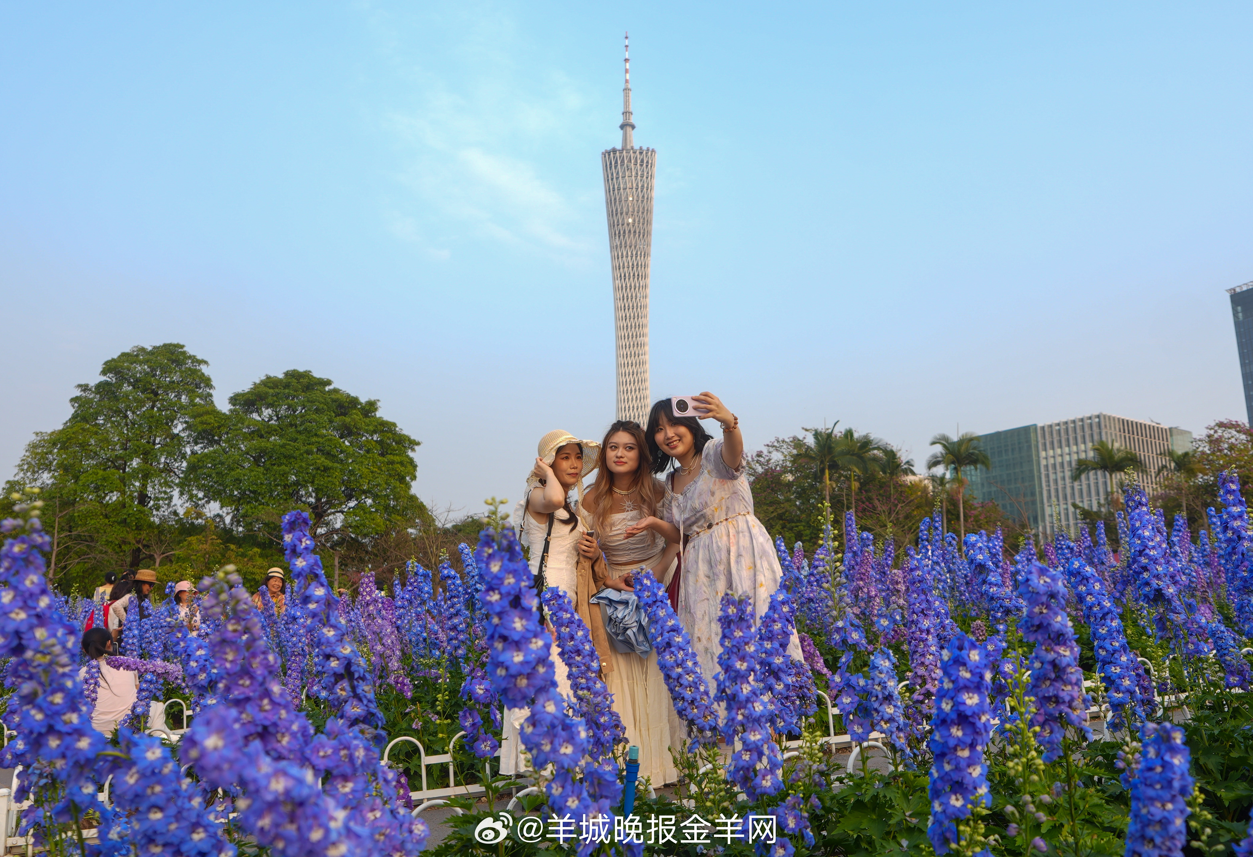 #早安# 早安！生活或许沉闷，但跑起来就有风。愿今日无碍，万事顺意。 