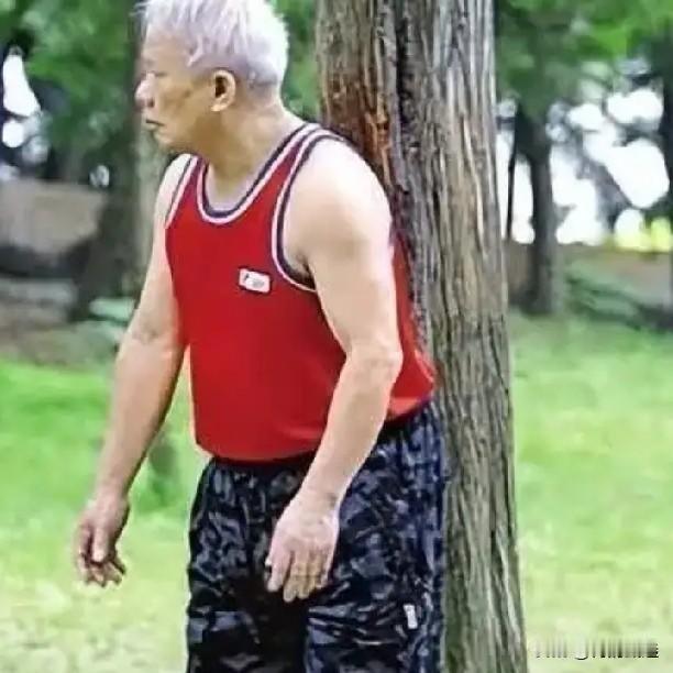 63岁老人撞树一年指标好了，后背却废了！医生怒揭真相

每天早上路过公园，你是不