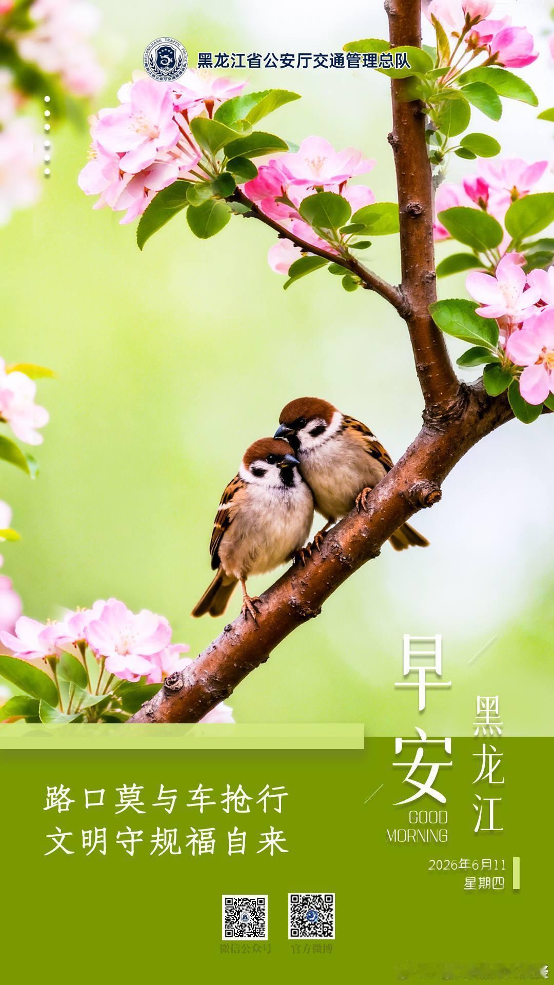 早安  路口莫与车抢行，文明守规福自来。早安早安高小黑蜀黍的早安提示 （