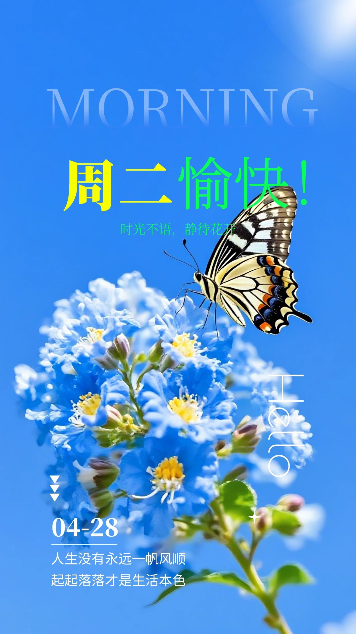 ☀️🤍🌸清爽清晨，温柔问好，放下过往疲惫琐碎，看淡世事纷扰，安然过好当下。心