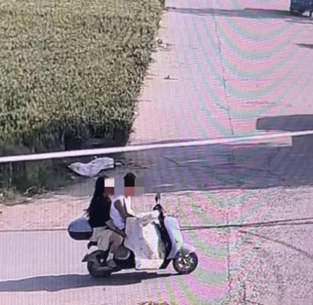 【网红边牧"锄头"被偷杀案四大法律问题，周兆成：偷狗不是小事，价值达标就是刑事犯