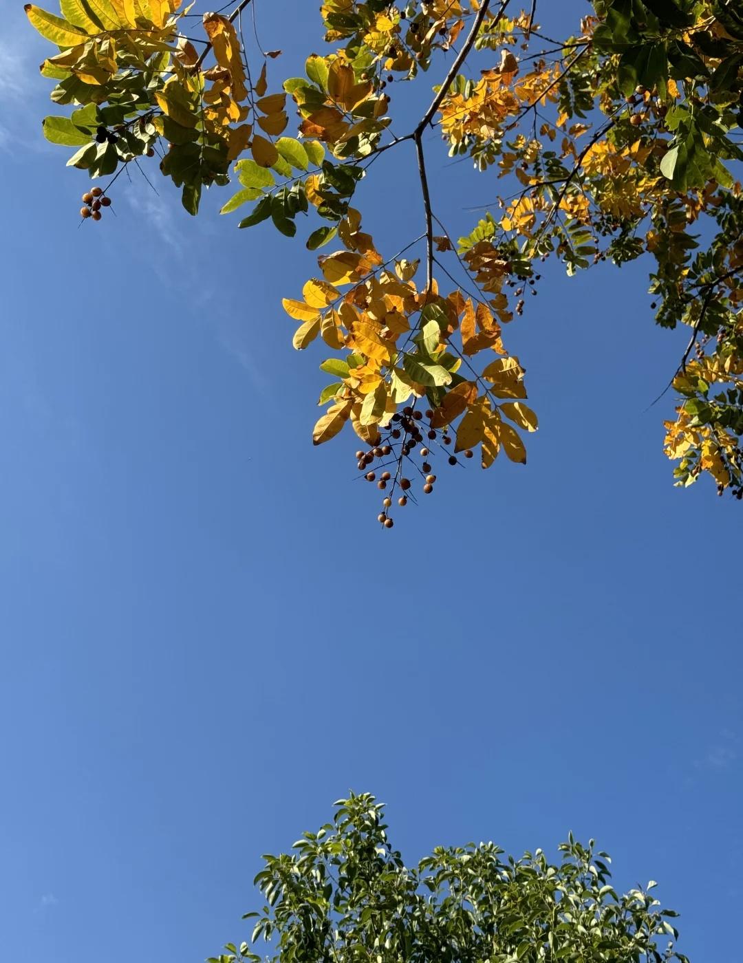 什么时候能让我晒太阳！