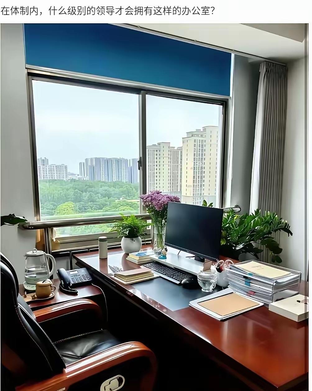 什么段位？