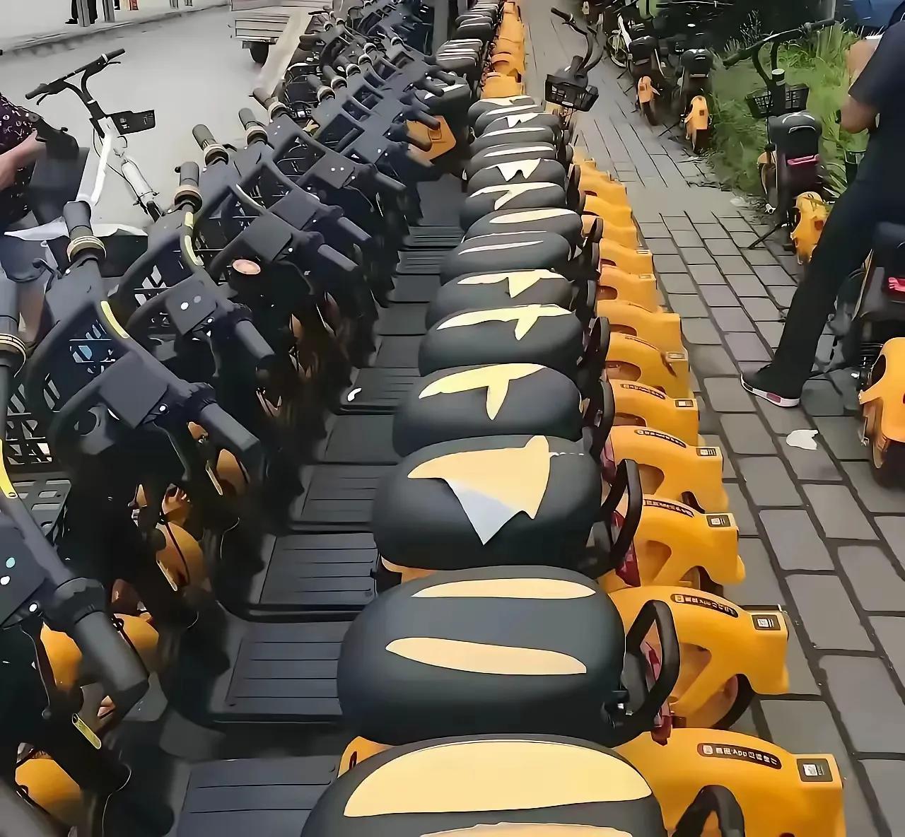 是谁对崭新的共享电车心存不满？
问题的根源是什么？
出现这种情况到底是谁之过？
