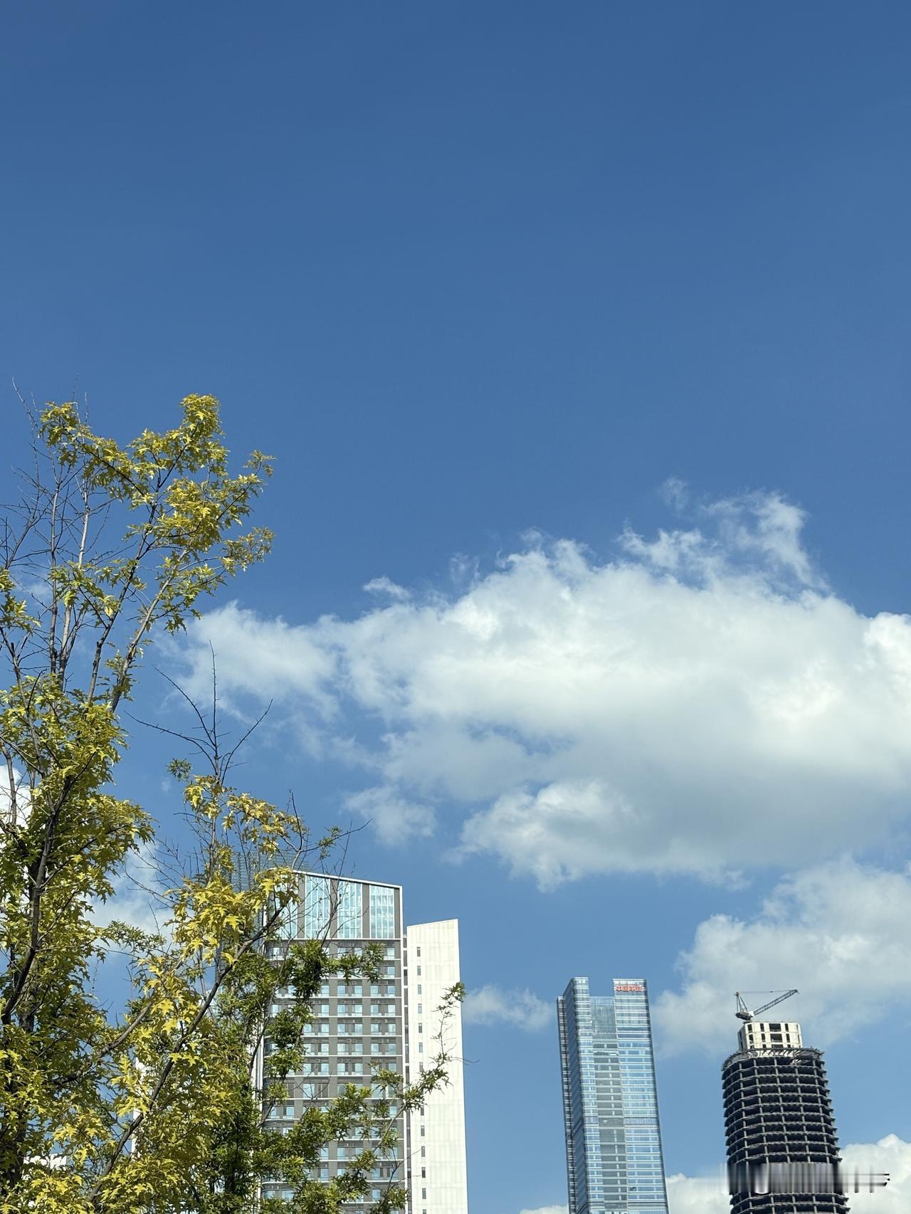 夏日的蓝天白云简直就是天然的绝美画卷，随手一拍都能定格下这份美好。每次看到那澄澈