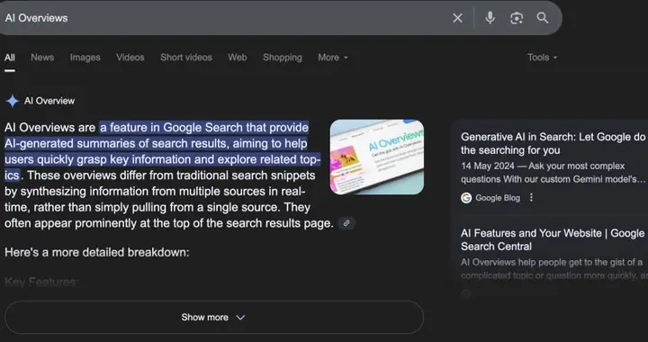 AI狂欢，网站末日来了，互联网变现难，谷歌让点击惨遭灭顶之灾