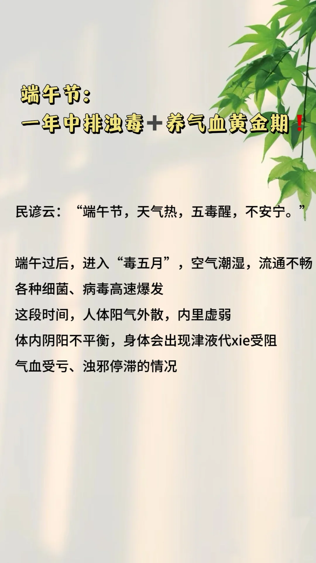 端午后|一年中的排浊毒+养气血黄金期！！