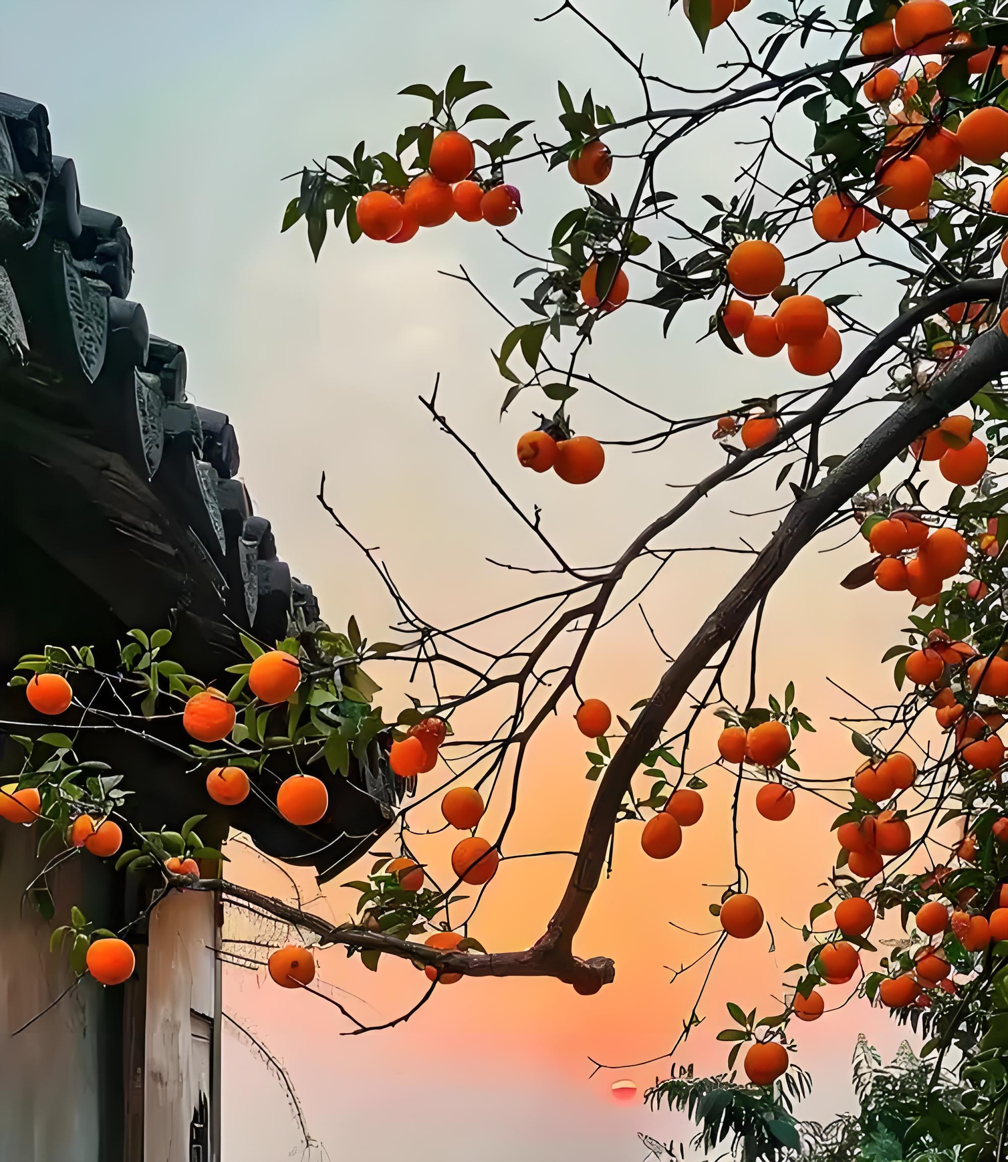 我的朋友圈，满是“年末将至”啊！啊！啊！可不可以不要这么早开始倒计时呀！    