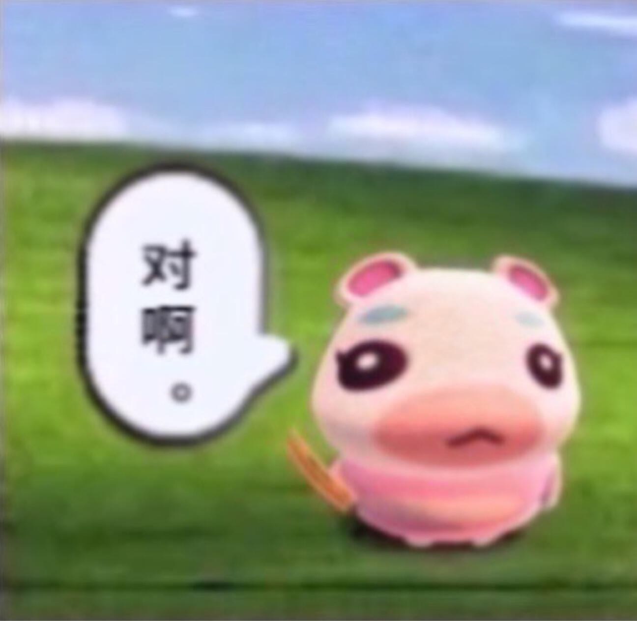 近期爱用表情包 