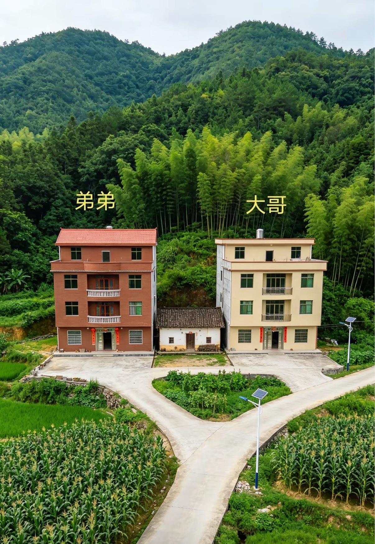 看到大哥和弟弟这样修路，我就再也不想回老家了 ​​​