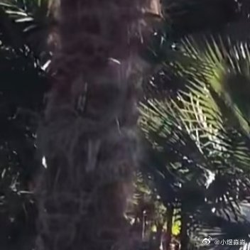 1800人生没有白走的路，信用也没有白守的约。哪怕风雨兼程，只要初心不改，信用会
