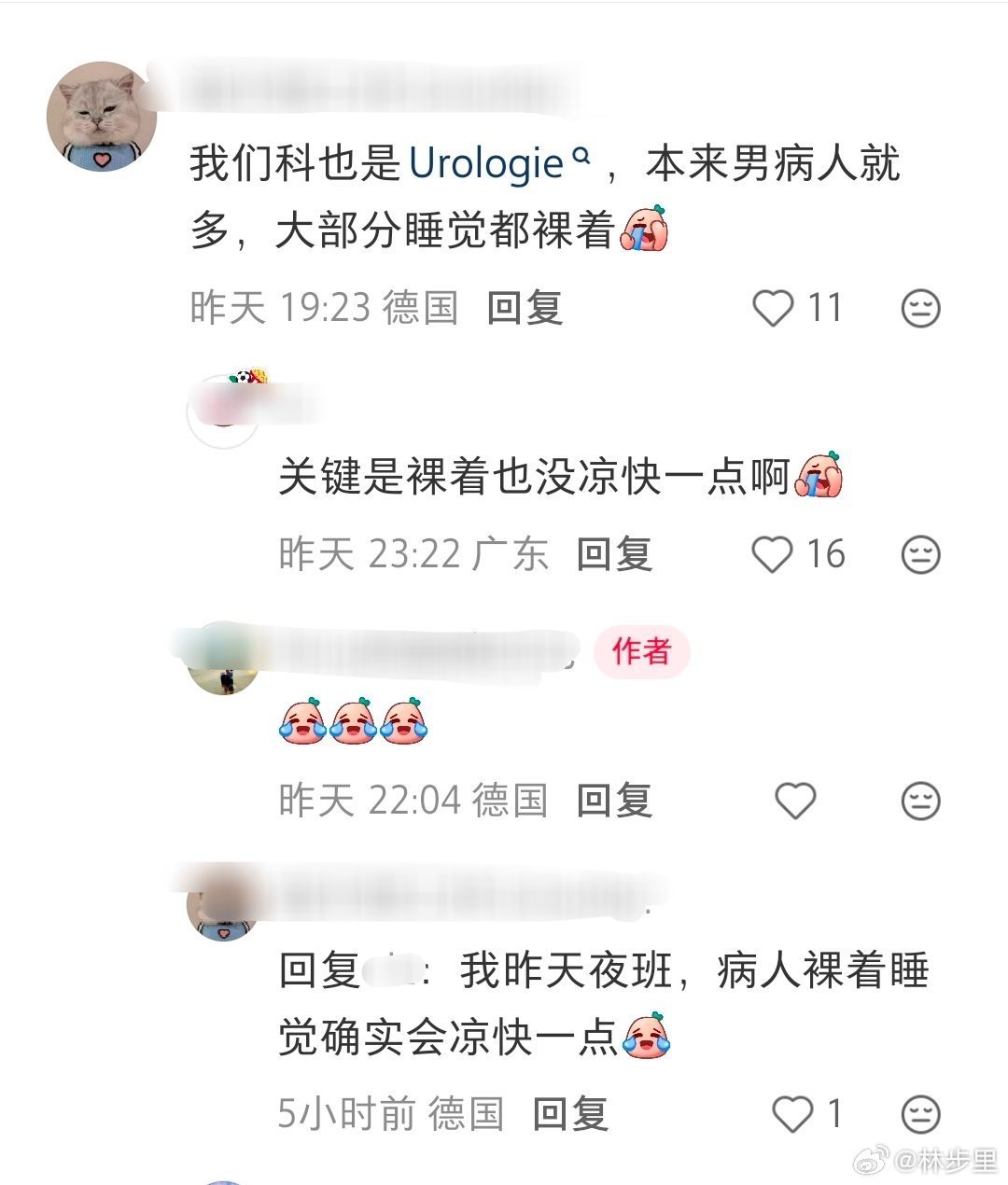 德国医院也没空调。病房里的病人，一个个裸着在病房。话说，这种高温，把宠物热死了。