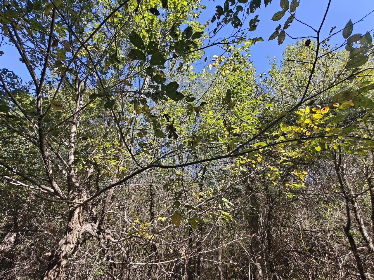 假期过得飞快，去爬山了，爬了整整 2 个小时，真累，最后爬到山顶，都走不动了。