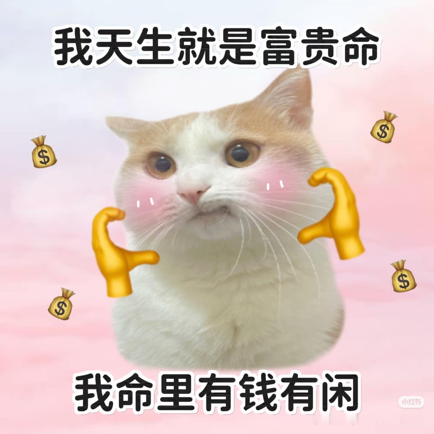 哈哈哈哈哈明天