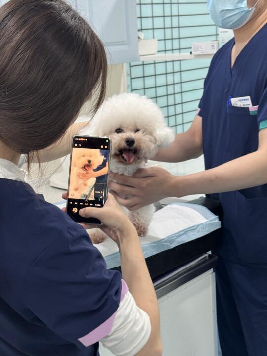 小甜妹最近有点emo