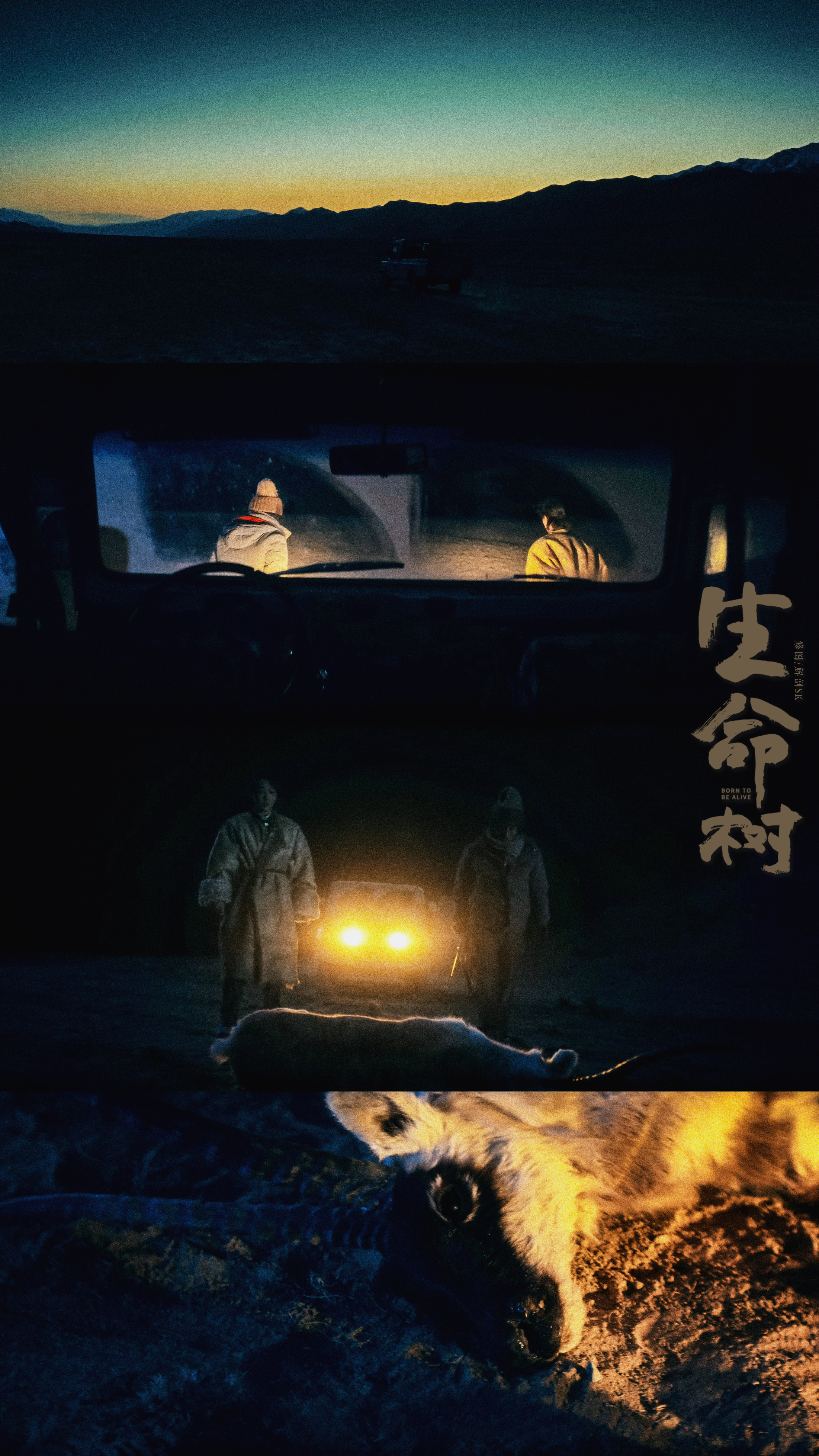 坚守这片土地 🏔️｜生命树·杨紫 