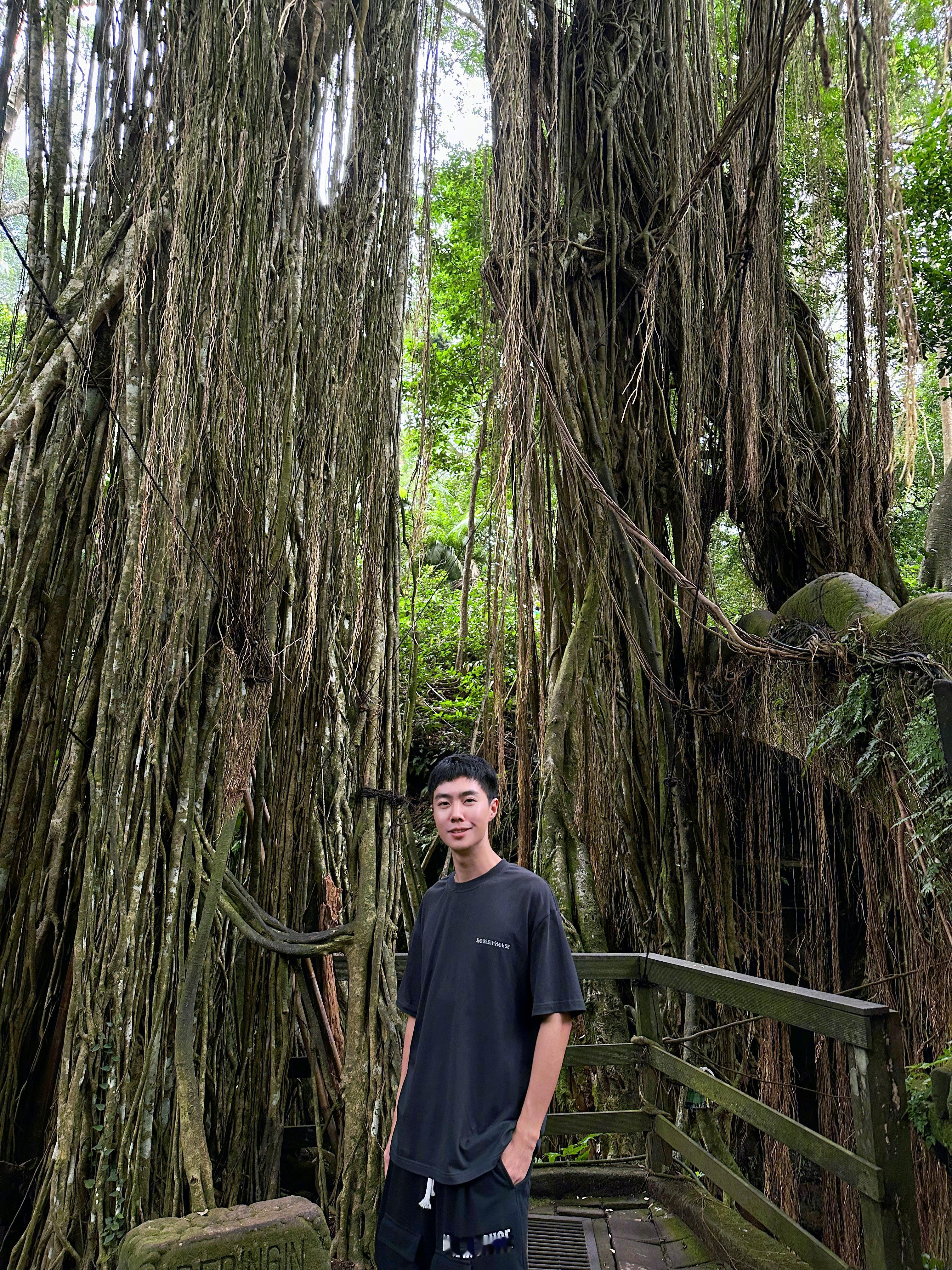 #中国高保湿挑战之旅##不止旅行#踏入巴厘岛猴子公园，仿佛走进了热带丛林的奇妙王