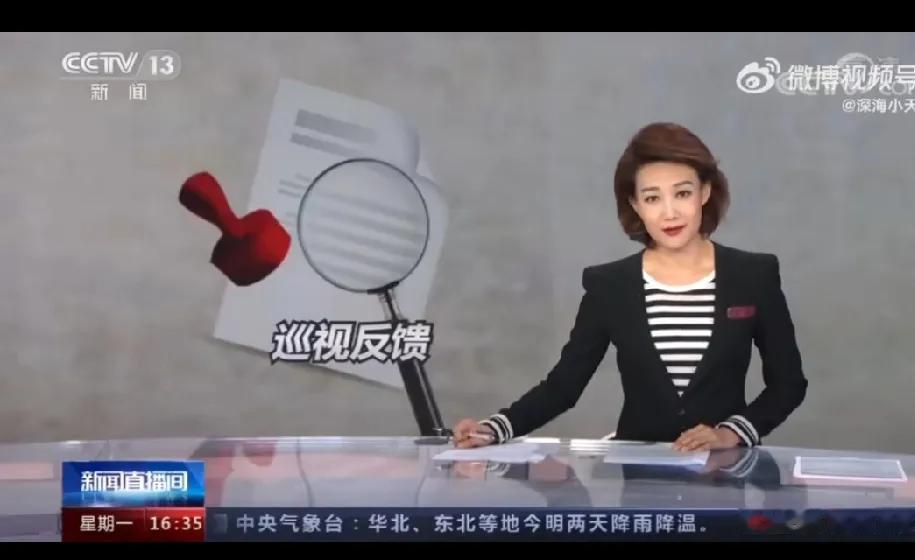 2021年5月8日至7月5日,中央第八巡视组对武汉大学党委开展了常规巡视。202