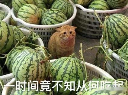 1、迪丽热巴的德佑全球品牌代言人的商务下周官宣，物料已拍。 2、金晨现在彻底没事