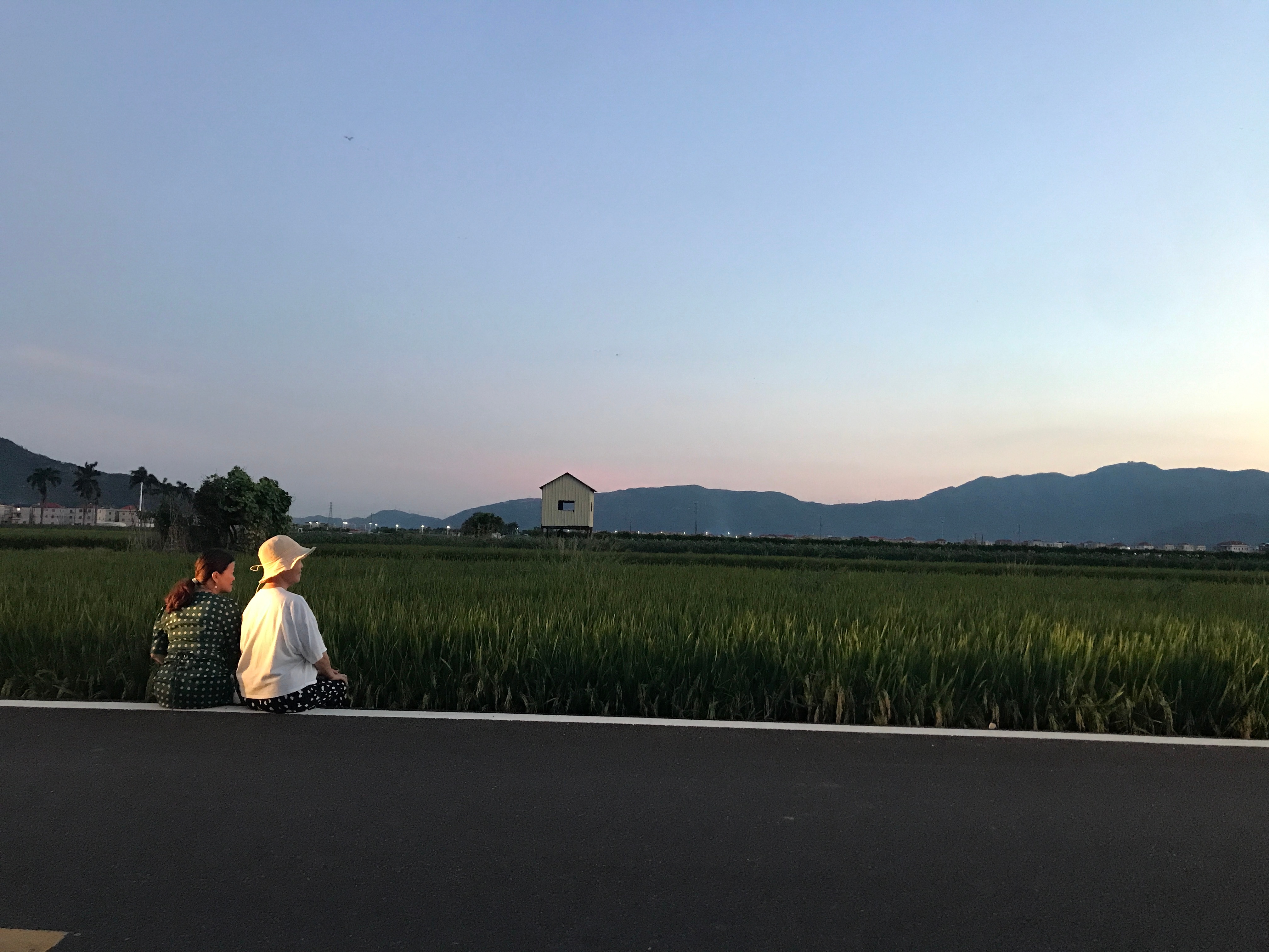 2023年7月11日龙海东园港边村最美的风景一道风景是人的背影 
