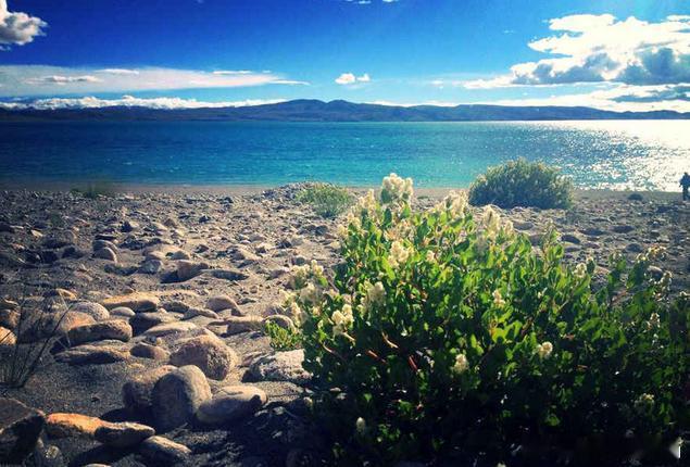 【鬼湖拉昂错】拉昂错，人称鬼湖，藏语意为“有毒的黑湖”。据说鬼湖是无风三尺浪。在