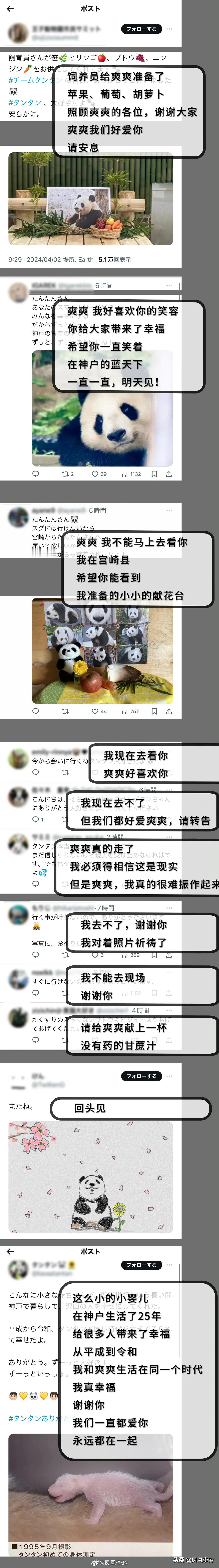 日本网友，给去世的大熊猫爽爽的留言，情真意切，很感人。大家一定看看。 ​​​
#