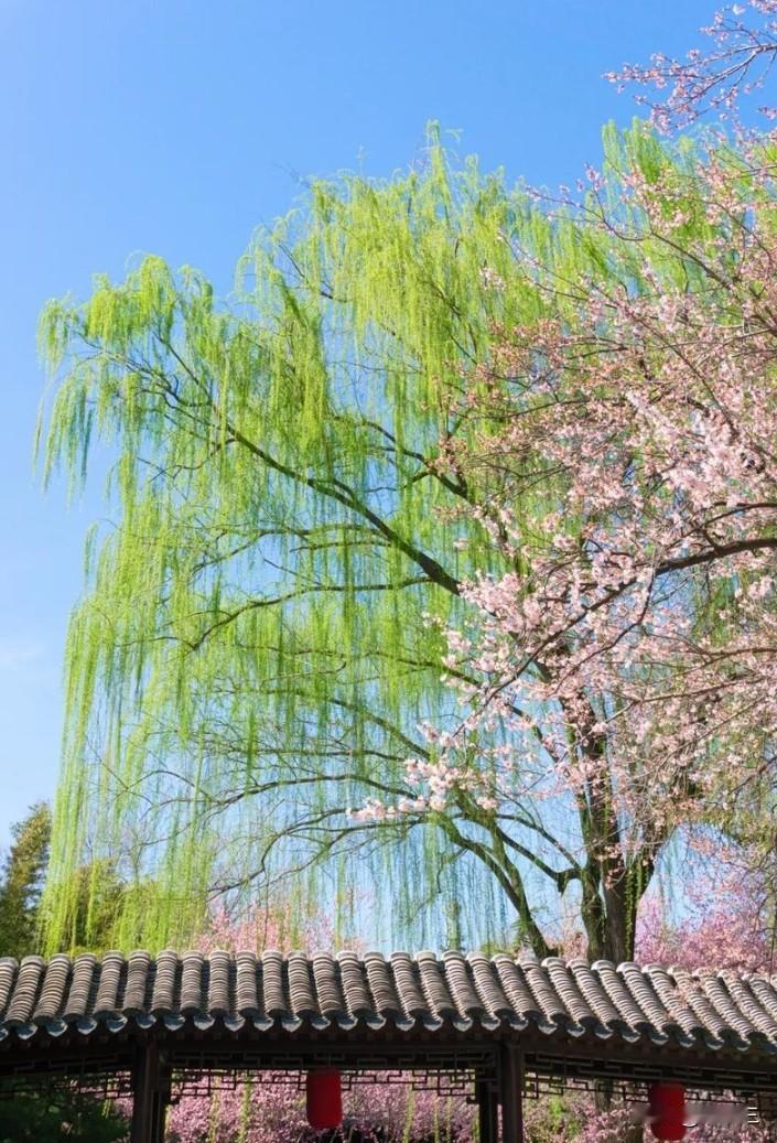 我最不愿意做的，就是去看病。

但这次的事情，好像不能再草率的解决。

我看了大