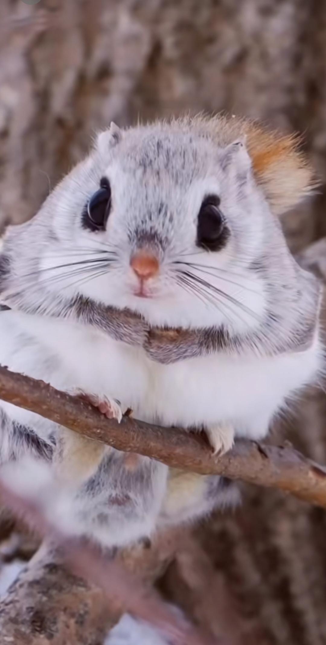 在文学作品中看见自己，看见世界，
看见自己和整个世界的关系。
见天见地见众生见自