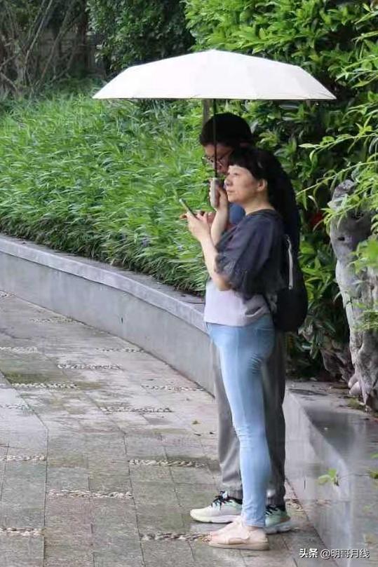 单身老人的困惑（十四）
 
七十一岁的王老师，本以为余生只剩独处终老，早已看淡人