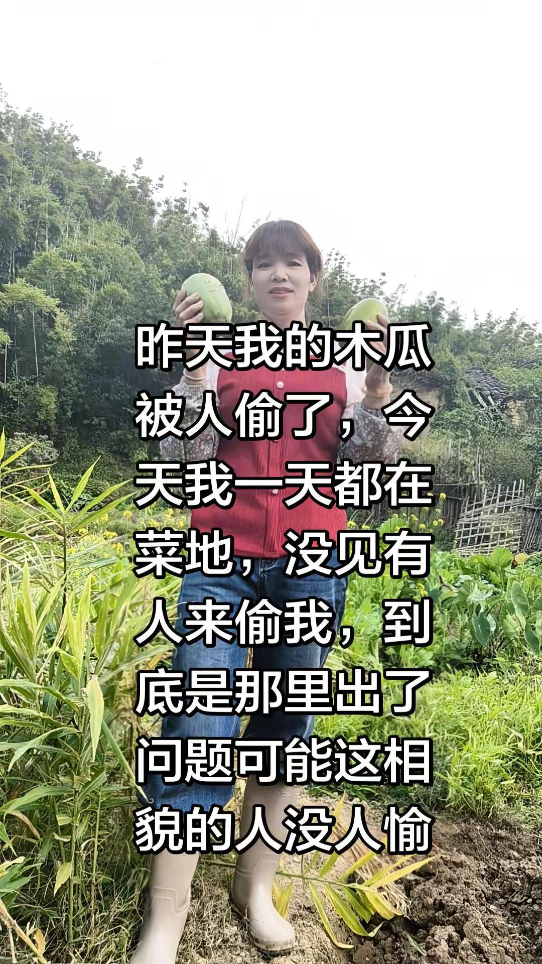 这些人宁愿偷木瓜可能我相貌不出众没有人偷