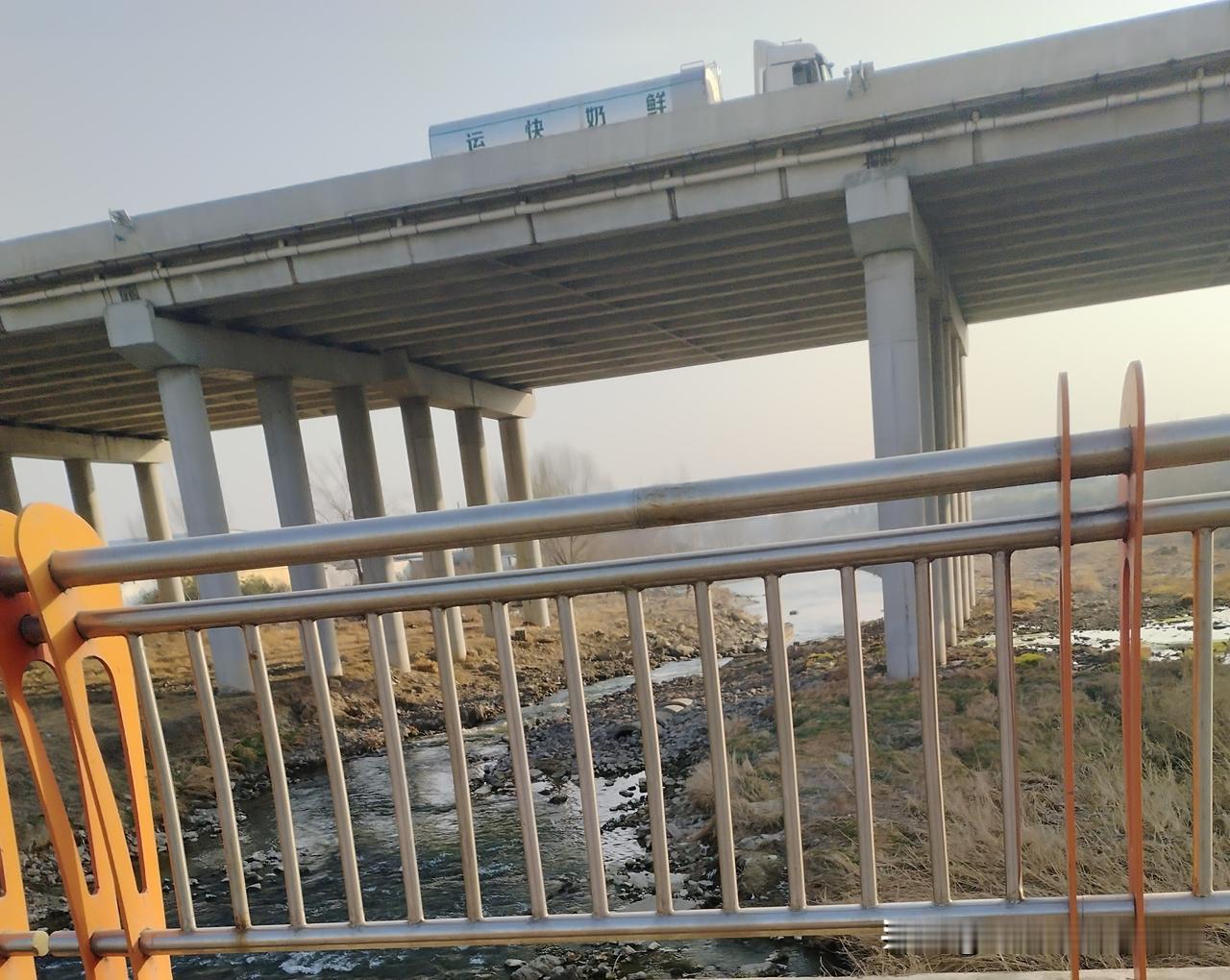 今年四九天的天气也太反常了！

往年这时候，家门口的小河早冻得结结实实，冰面厚得