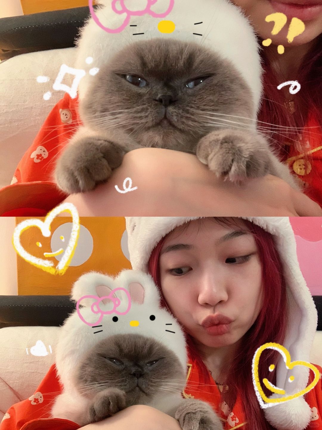 现实版的黑皮kitty