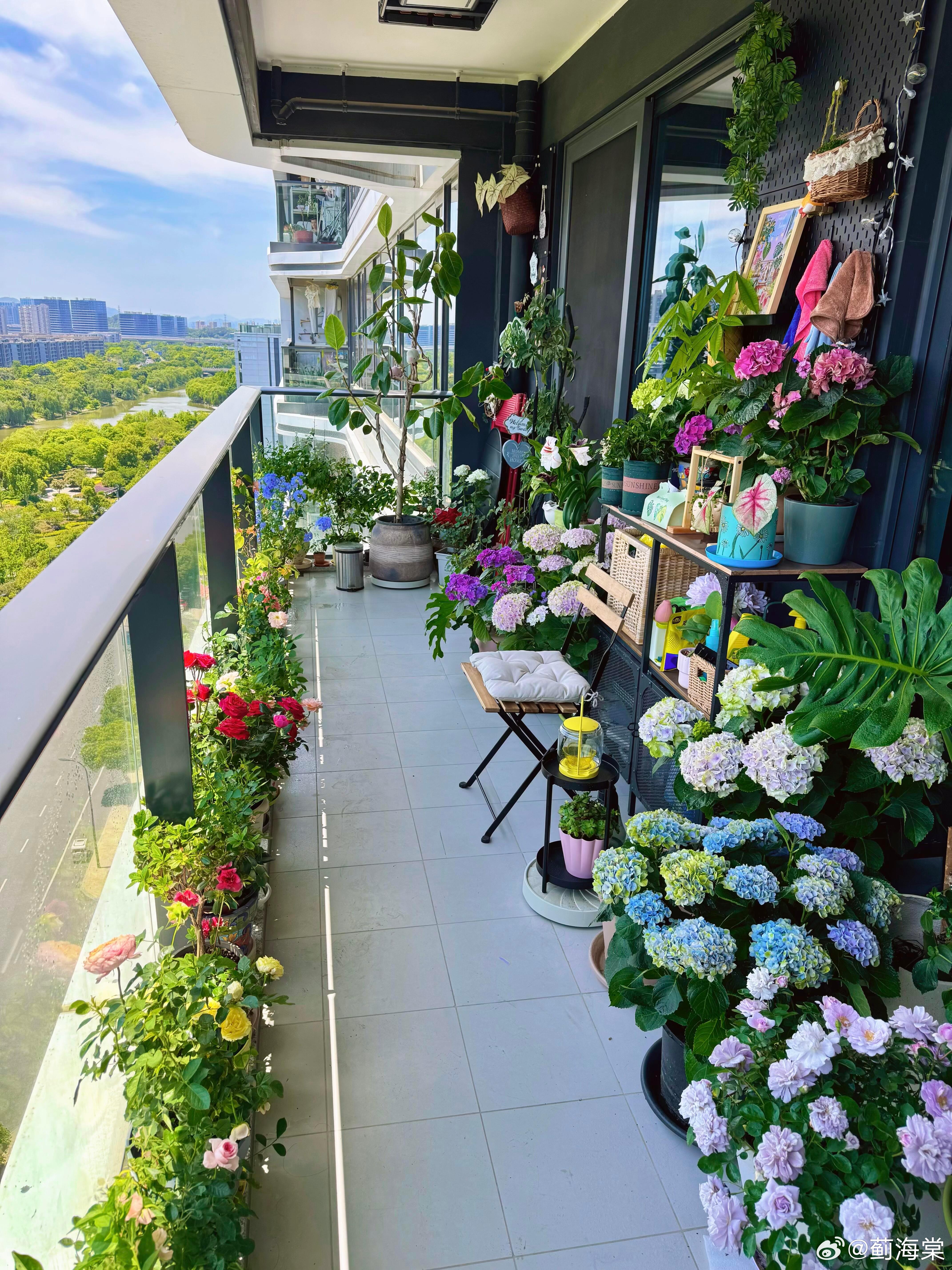 心情不好的时候，就看看我滴阳台小花园。 