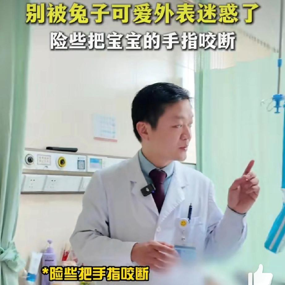 萌宠藏“利齿”！兔子咬伤预警，
 
软乎乎的绒毛、圆溜溜的眼睛，兔子向来以温顺可