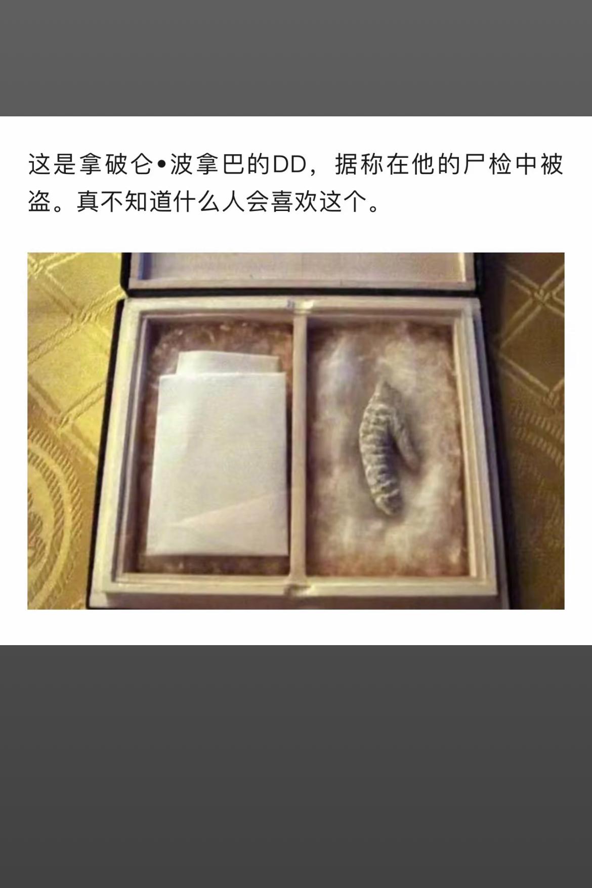 拿破仑·波拿巴的DD，真不知道什么人会喜欢这个。